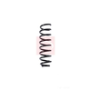 Apec Coil Spring ACS1354 thumbnail