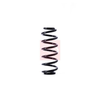 Apec Coil Spring ACS1391 thumbnail