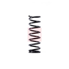 Apec Coil Spring ACS1488 thumbnail
