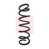 Apec Coil Spring ACS1589 thumbnail
