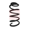 Apec Coil Spring ACS1597 thumbnail