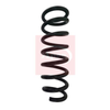Apec Coil Spring ACS1608 thumbnail