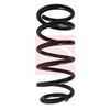 Apec Coil Spring ACS1619 thumbnail