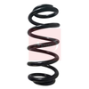 Apec Coil Spring ACS1636 thumbnail