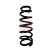Apec Coil Spring ACS1672 thumbnail