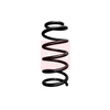 Apec Coil Spring ACS1693 thumbnail