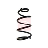Apec Coil Spring ACS1708 thumbnail
