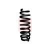Apec Coil Spring ACS1717 thumbnail
