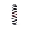 Apec Coil Spring ACS1729 thumbnail