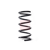Apec Coil Spring ACS1730 thumbnail
