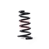 Apec Coil Spring ACS1753 thumbnail