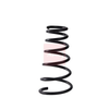 Apec Coil Spring ACS1992 thumbnail