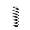 Apec Coil Spring ACS1999 thumbnail