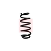 Apec Coil Spring ACS2064 thumbnail