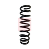 Apec Coil Spring ACS2091 thumbnail