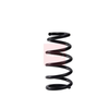 Apec Coil Spring ACS2093 thumbnail