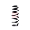 Apec Coil Spring ACS2125 thumbnail