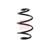 Apec Coil Spring ACS2131 thumbnail