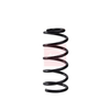 Apec Coil Spring ACS2156 thumbnail