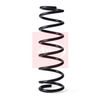 Apec Coil Spring ACS2187 thumbnail