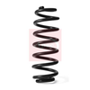 Apec Coil Spring ACS2196 thumbnail