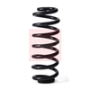 Apec Coil Spring ACS2199 thumbnail