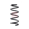 Apec Coil Spring ACS2216 thumbnail