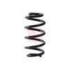 Apec Coil Spring ACS2257 thumbnail
