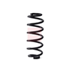 Apec Coil Spring ACS2322 thumbnail