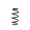 Apec Coil Spring ACS2328 thumbnail