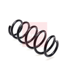Apec Coil Spring ACS2436 thumbnail