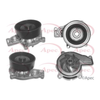Apec Water Pump AWP1121 thumbnail