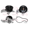 Apec Water Pump AWP1161 thumbnail
