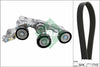 INA Drive Belt Kit 529014810 thumbnail