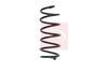 Apec Coil Spring ACS1618 thumbnail