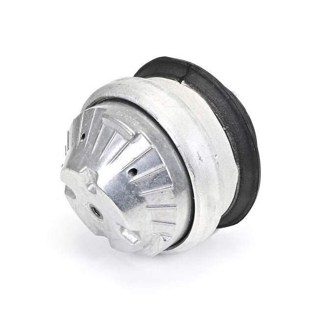 Delphi Engine Mount TEM144 - image 5