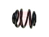 Apec Coil Spring ACS1980 thumbnail