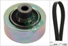 INA Drive Belt Kit 529040310 thumbnail