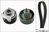 INA Timing Belt Kit 530066210 thumbnail