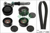 INA Drive Belt Kit 529020910 thumbnail