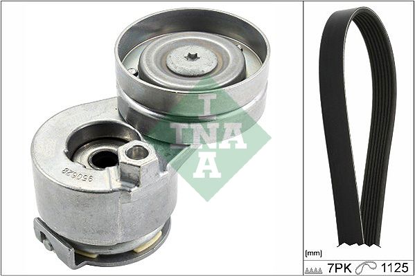 INA Drive Belt Kit 529008810 - image 2