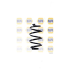 NAPA 2 x Coil Springs Rear Axle NCS1413 thumbnail