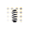 NAPA 2 x Coil Springs Rear Axle NCS1533 thumbnail