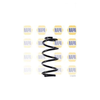 NAPA 2 x Coil Springs Rear Axle NCS1541 thumbnail
