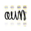 NAPA 2 x Coil Springs Rear Axle NCS1819 thumbnail