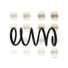 NAPA 2 x Coil Springs Rear Axle NCS1893 thumbnail