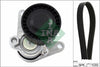 INA Drive Belt Kit 529036710 thumbnail