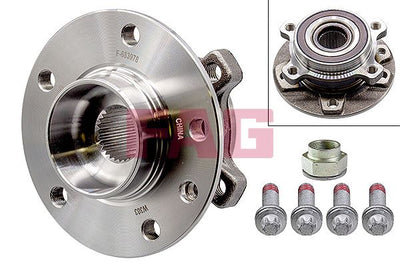 FAG Wheel Bearing Kit 713692040