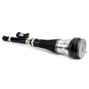 Arnott Air Suspension Strut Rear Right AS-3364 thumbnail
