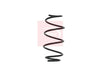 Apec Coil Spring ACS1603 thumbnail